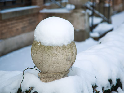 Today`s theme:  pictures of stuff with snow on it.