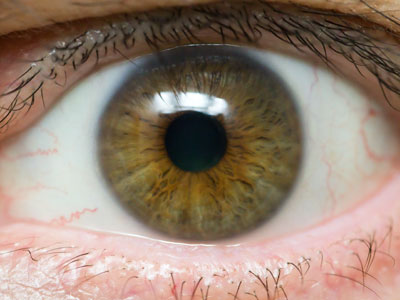 Me, myself and eye.