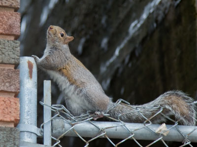 Did you see that movie `West Side Story`?