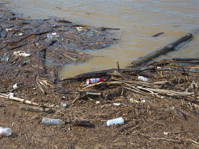 I decided not to take a swim in the river today.