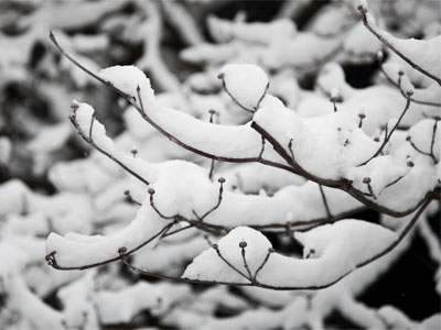 Springtime in Ohio.
