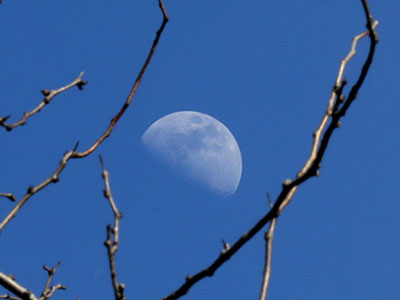 Well shone, Moon!  WILLIAM SHAKESPEARE
