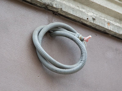 Coiled and ready to strike.