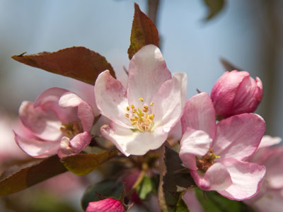 Is it really spring this time?