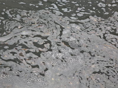 I can`t adequate express how filthy the river water is.