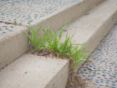 Nature always wins.