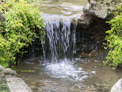 Tadpole shower.