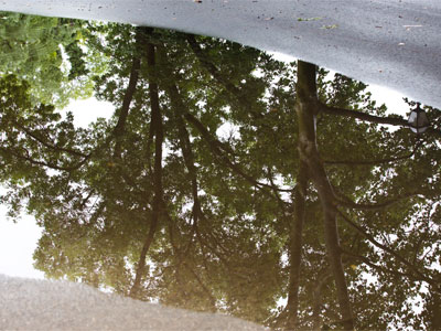 A large puddle or small pond outside my house.