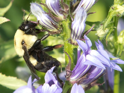 The latest buzz.