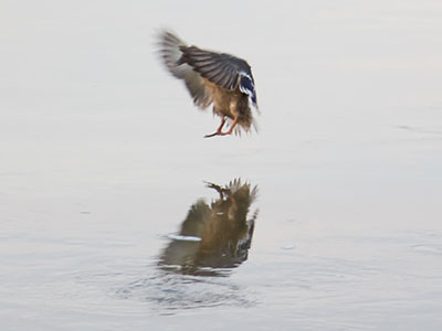 Splashdown!