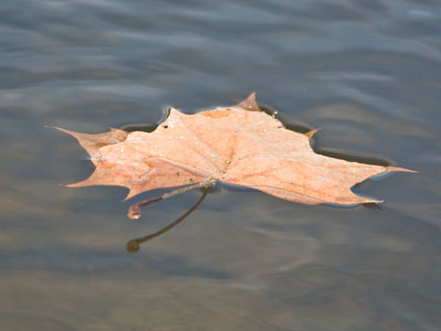 Just trying to keep above water.