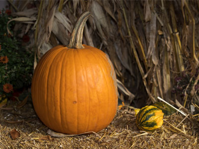 The visuals of autumn are fine, but not the temperature.