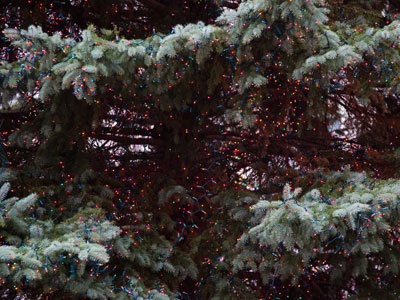 The tree is ready (see November 8 above).  The lights will be turned off, so they can be turned back on again.