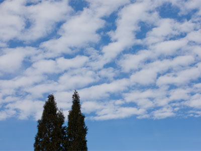 Tuscan sky.
