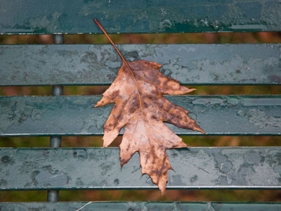Is it fall?