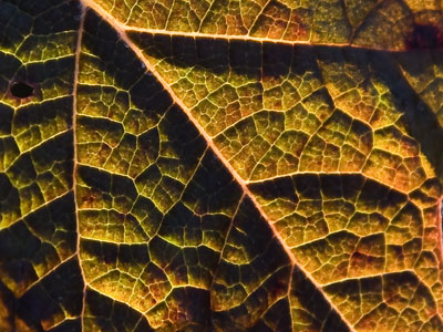 Textures.