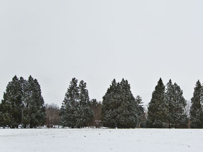 The frozen tundra of West Carrollton.