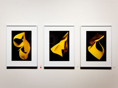 Studies in Yellow by Frances Smith.