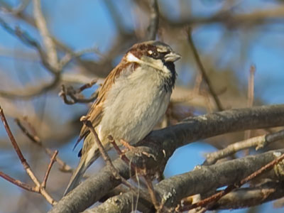 It was sunny and warm on a February morning.  Something`s wrong, but I don`t care.