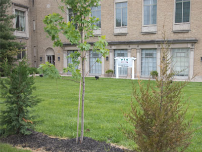 I was glad new trees had been planted downtown, but laughed that this is now an outdoor wedding venue.  Pay no attention to the busses and ambulances going by.