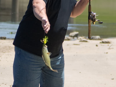 I`m happy to report that the fish escaped the bumbling fisherman who, moments later, nearly hooked a cyclist.