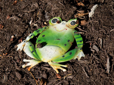 What happened when the frog tried to cross the road.