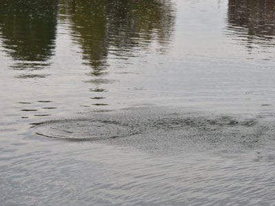 Someone was skipping stones on the river.