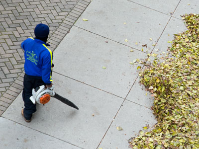 Please come to my house and clean up the front yard.