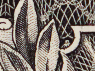 There`s a tiny spider hidden in the webbing of a $1 bill.