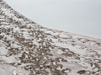 From a distance, I thought these were goose tracks.  But no, human beings have been walking in the mud.