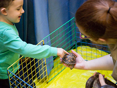 Close encounters with a turtle.