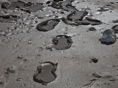 That`s one muddy step for mankind.