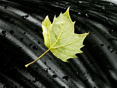 I looked out the window a lot -- until it stopped raining.