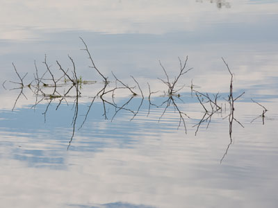 A quiet spring morning is a good time for reflection.