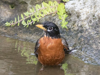 Bath time.