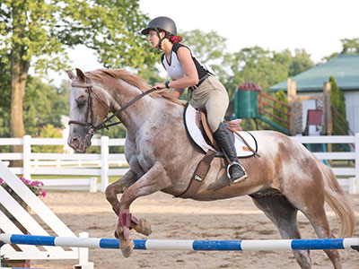 I try to make myself invisible to horse and rider, but she was one of two who spoke to me as they went past.