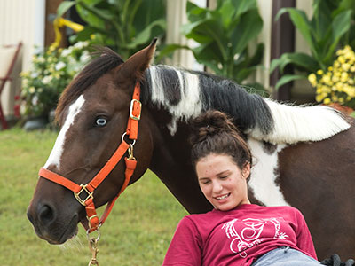 Horse human harmony.