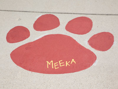 For a nominal fee, you can get a customized paw (see August 31, 2020).