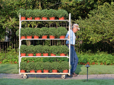 Earning his daily shrubbery (see September 8 above).