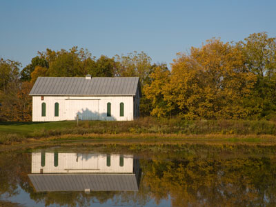 Down on the farm.