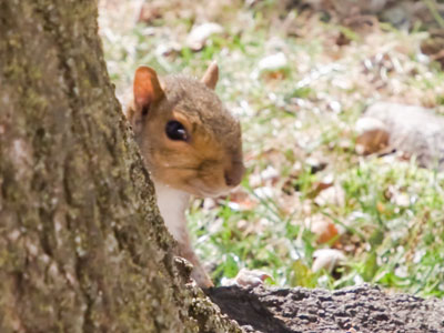 Cute and cautious.