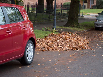 Reason No. 842 of why I don`t like fall:  it takes up valuable parking space.