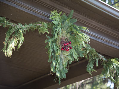 I have a sensitive smeller.  When these were hung on my porch outside, I could smell them inside.