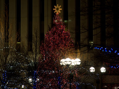 Downtown Dayton is a winter wonderland.