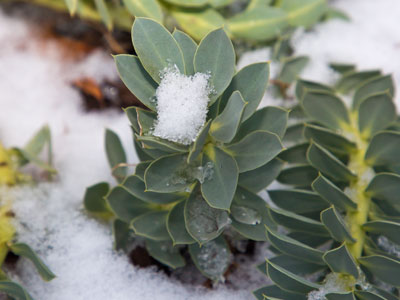 Winter is terrible, abhorrent, hideous, ghastly, dreadful, offensive, revolting, loathsome, repulsive and really cold.