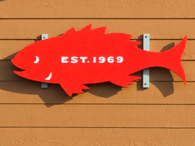 Fish on a wall.