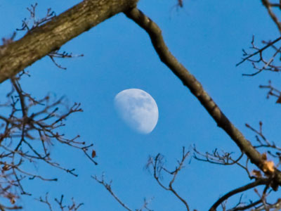 Look up, and remember your place in the universe.