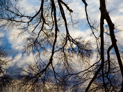 Yesterday`s snow and ice is a big puddle today.