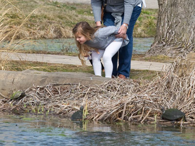 Protecting the kid from the turtles, or the turtles from the kid?