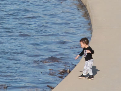 The sheer joy of throwing rocks in the water.  His shirt said WILD BOY.